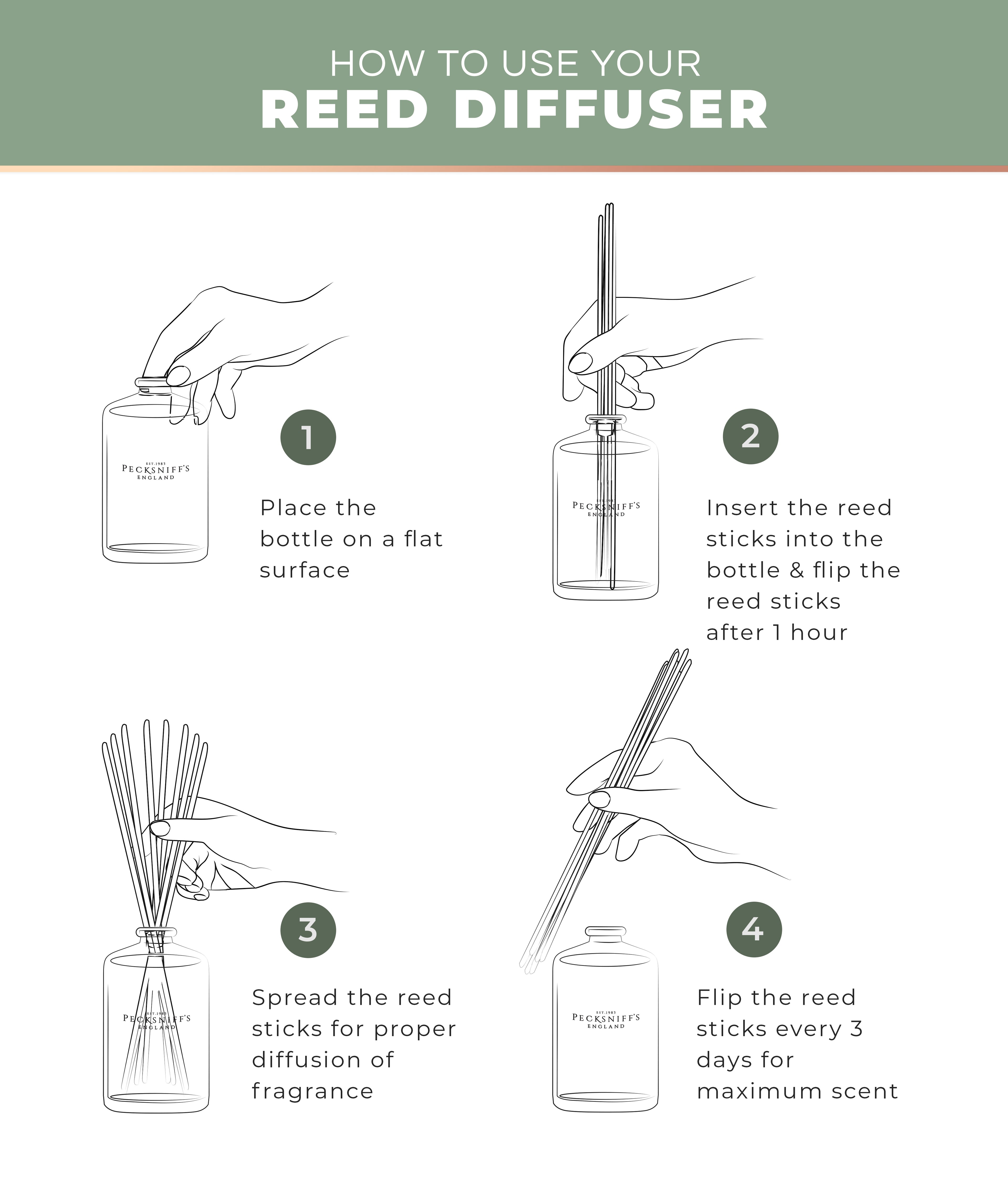 Pecksniff's Aroma Therapy De-Tox Reed Diffuser, 100 ml/3.38 Fl Oz