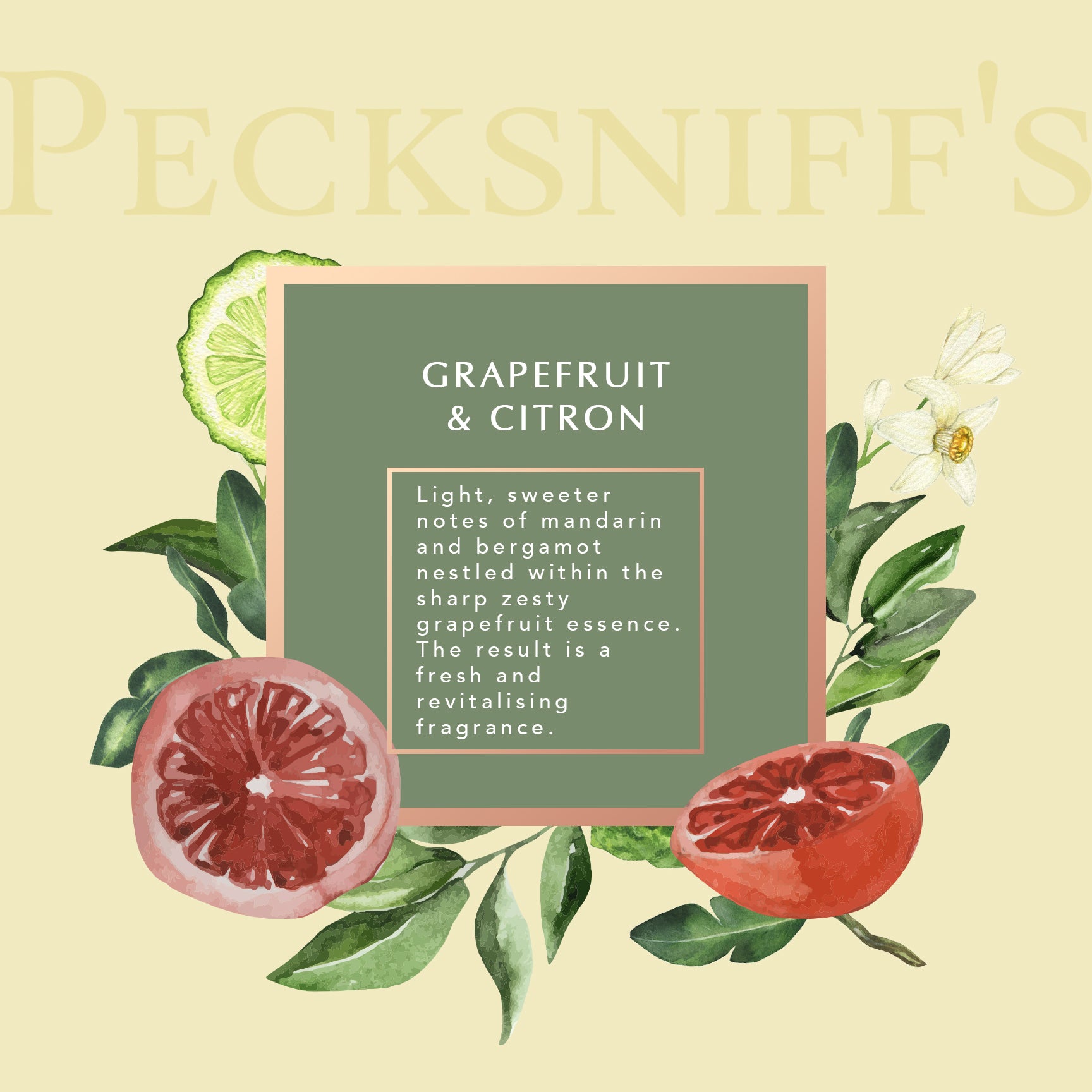 Pecksniffs Grapefruit & Citron Moisturizing Shower Gel | 1000 ml / 33.80 Fl Oz