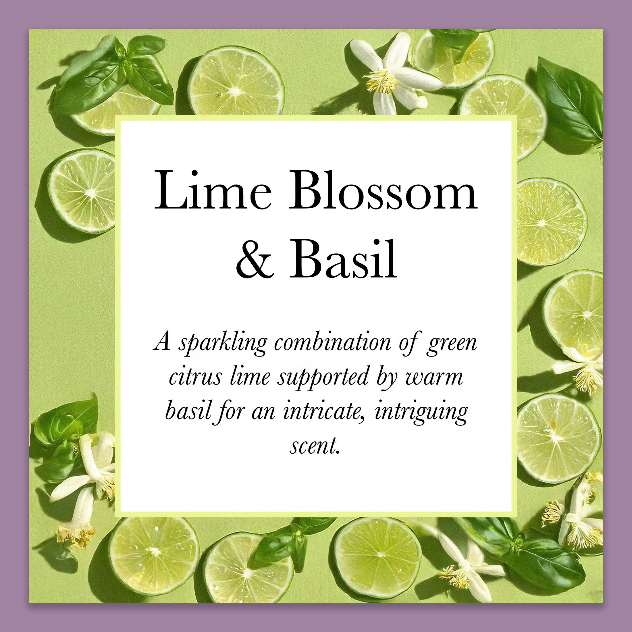 Olivia Blake Lime Blossom & Basil Trio Gift Set – 100 ml/3.38 fl oz Body Mist, 250 ml/8.45 fl oz Shower Gel, 250 ml/8.45 fl oz Body Lotion – Luxurious Everyday Essentials for Women