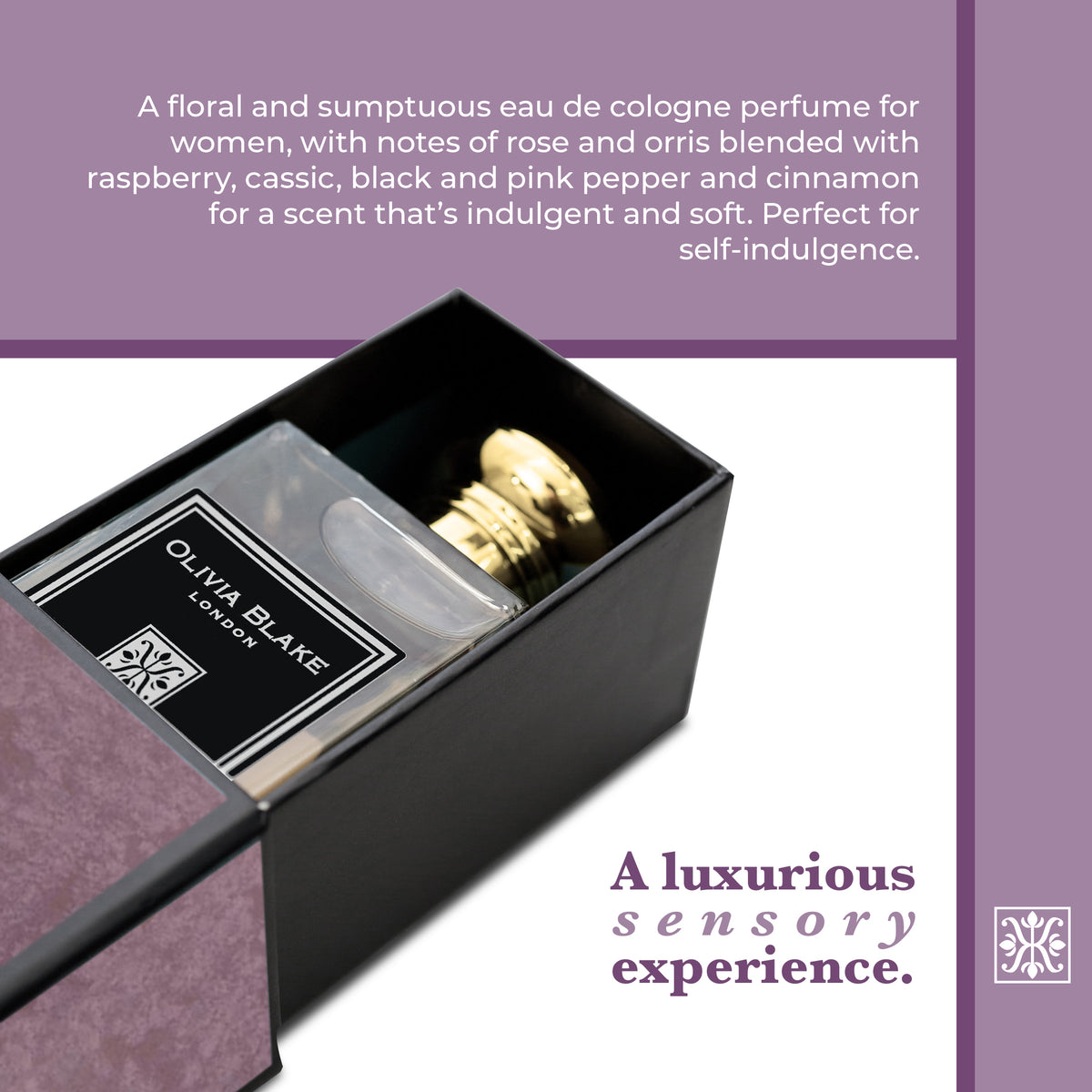 Olivia Blake Midnight Musk Perfume for Women – Fine Fragrance Eau de Cologne Spray, 100 ml/3.3 fl oz