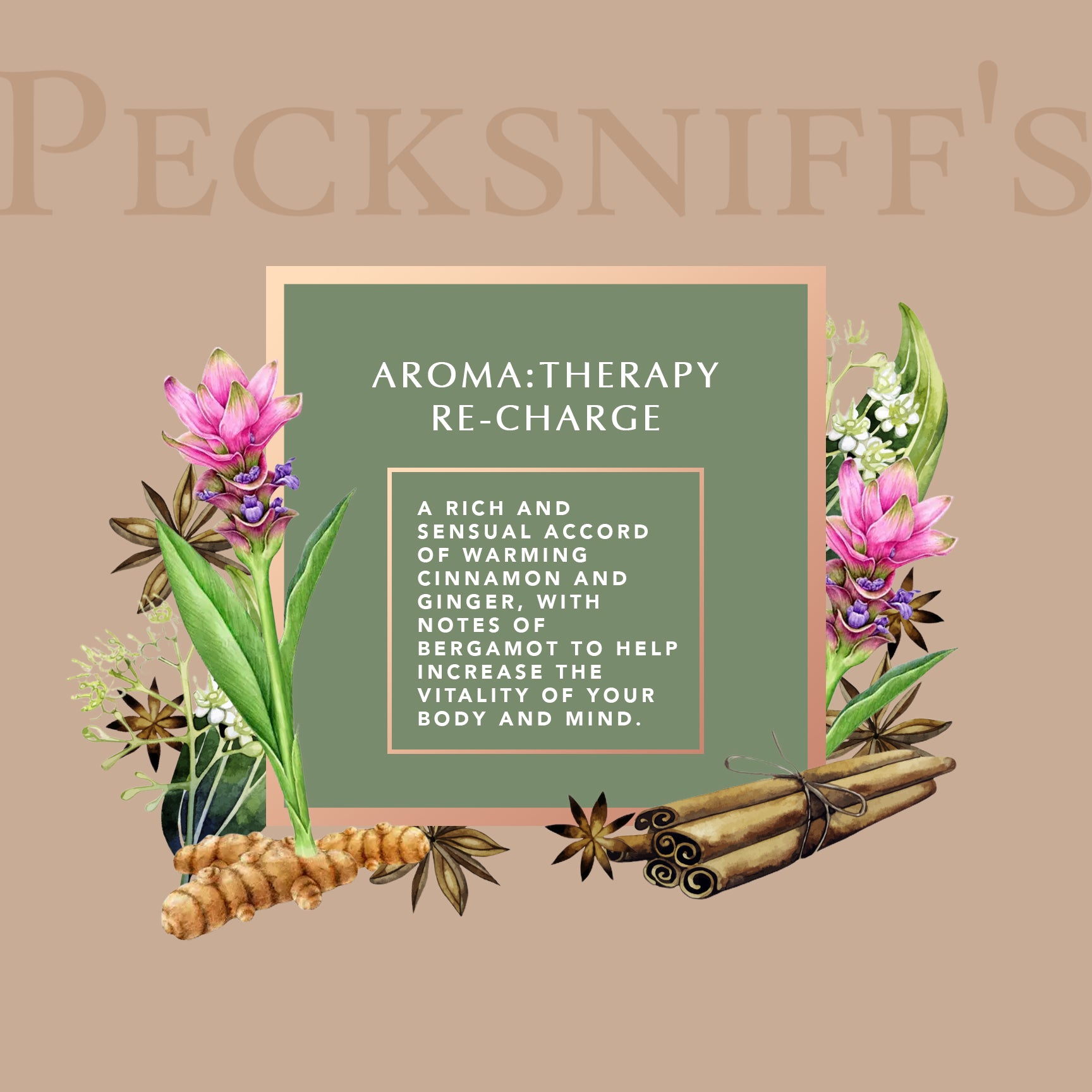 Pecksniff's Aroma:Therapy Re-Charge 500 ml/16.9 fl oz Hand Wash
