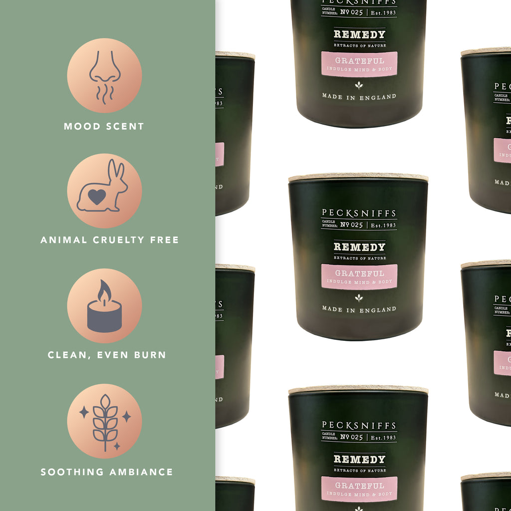 Pecksniff’s Aromatherapy Grateful Candle 3 Wick 19.4 oz/550 g, Honey Aloe Fragrance, Long Lasting Luxury Glass Candle for Relaxation, Home and Gifts