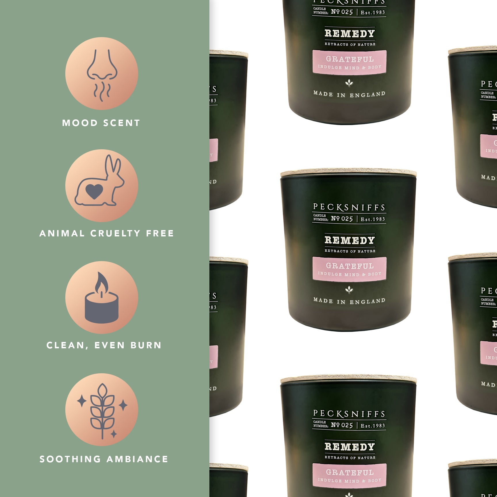Pecksniff’s Aromatherapy Grateful Candle 3 Wick 19.4 oz/550 g, Honey Aloe Fragrance, Long Lasting Luxury Glass Candle for Relaxation, Home and Gifts