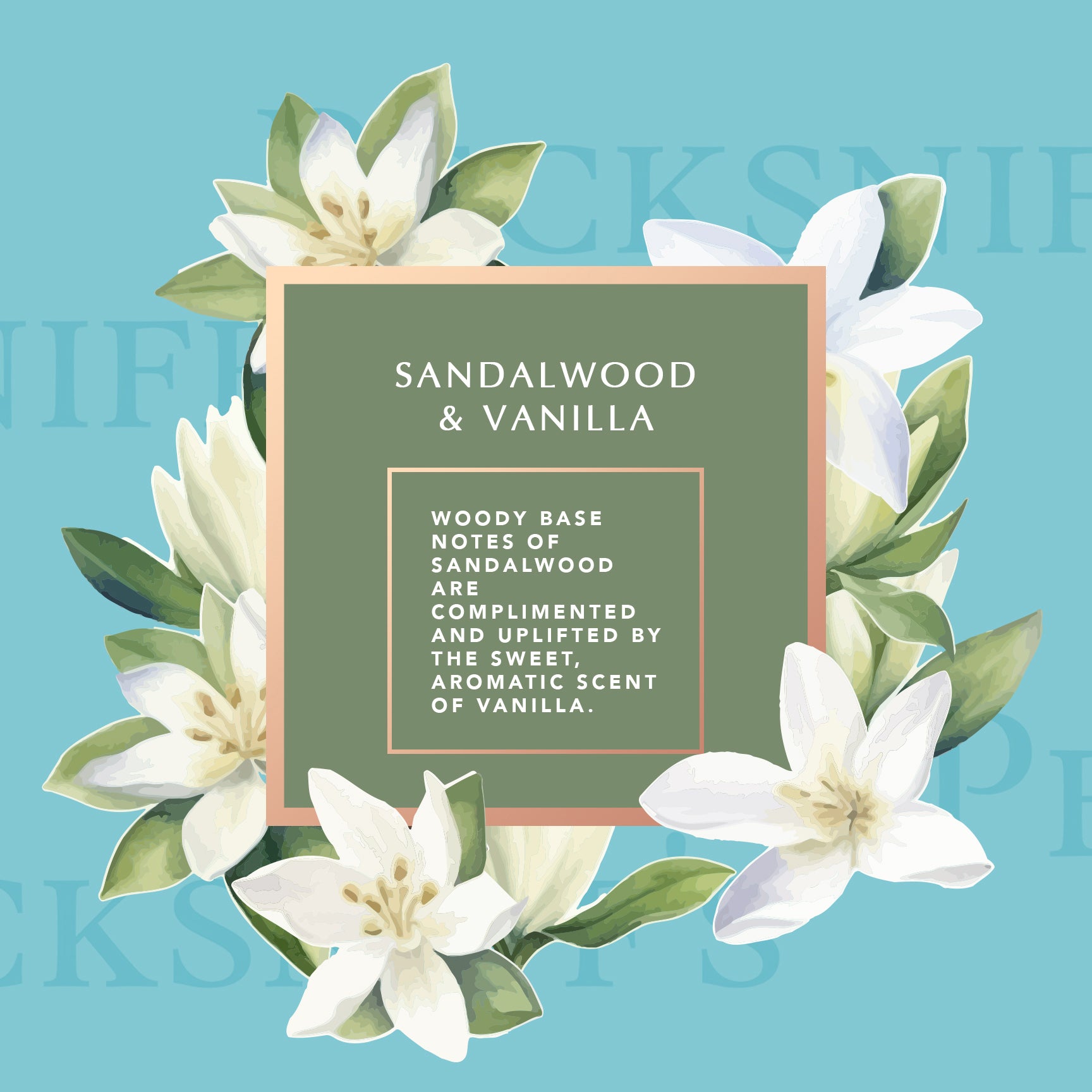 Pecksniff's Sandalwood & Vanilla Hand Wash 725 ml/24.5 Fl Oz
